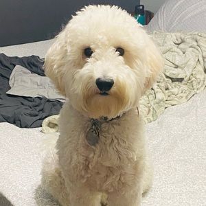 Meet your Posher, Zarana